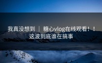 我真没想到 ｜ 糖心vlog在线观看！！这波到底谁在搞事