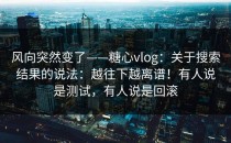 风向突然变了——糖心vlog：关于搜索结果的说法：越往下越离谱！有人说是测试，有人说是回滚